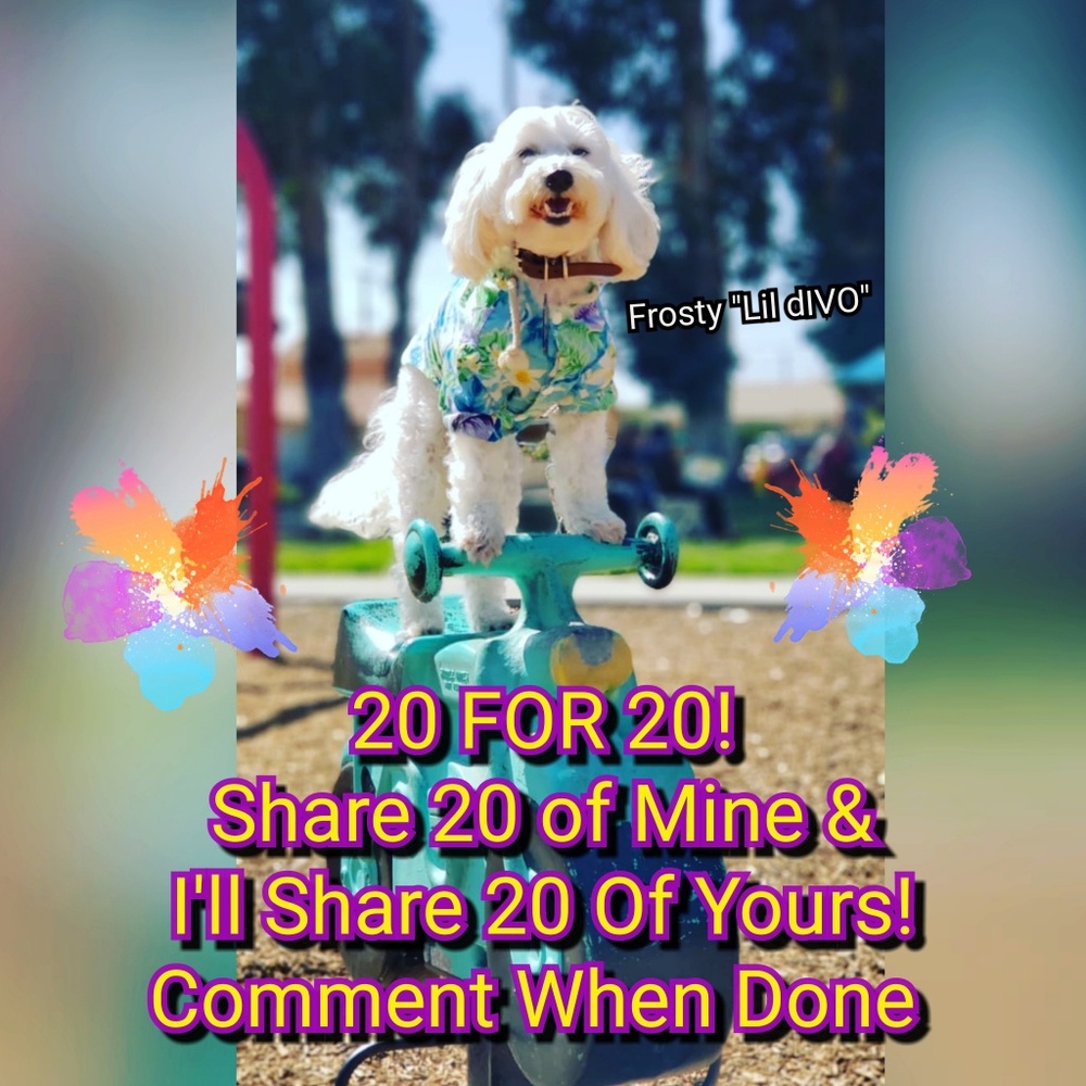 🌟SHARE 20 FOR 20!!!🌟
